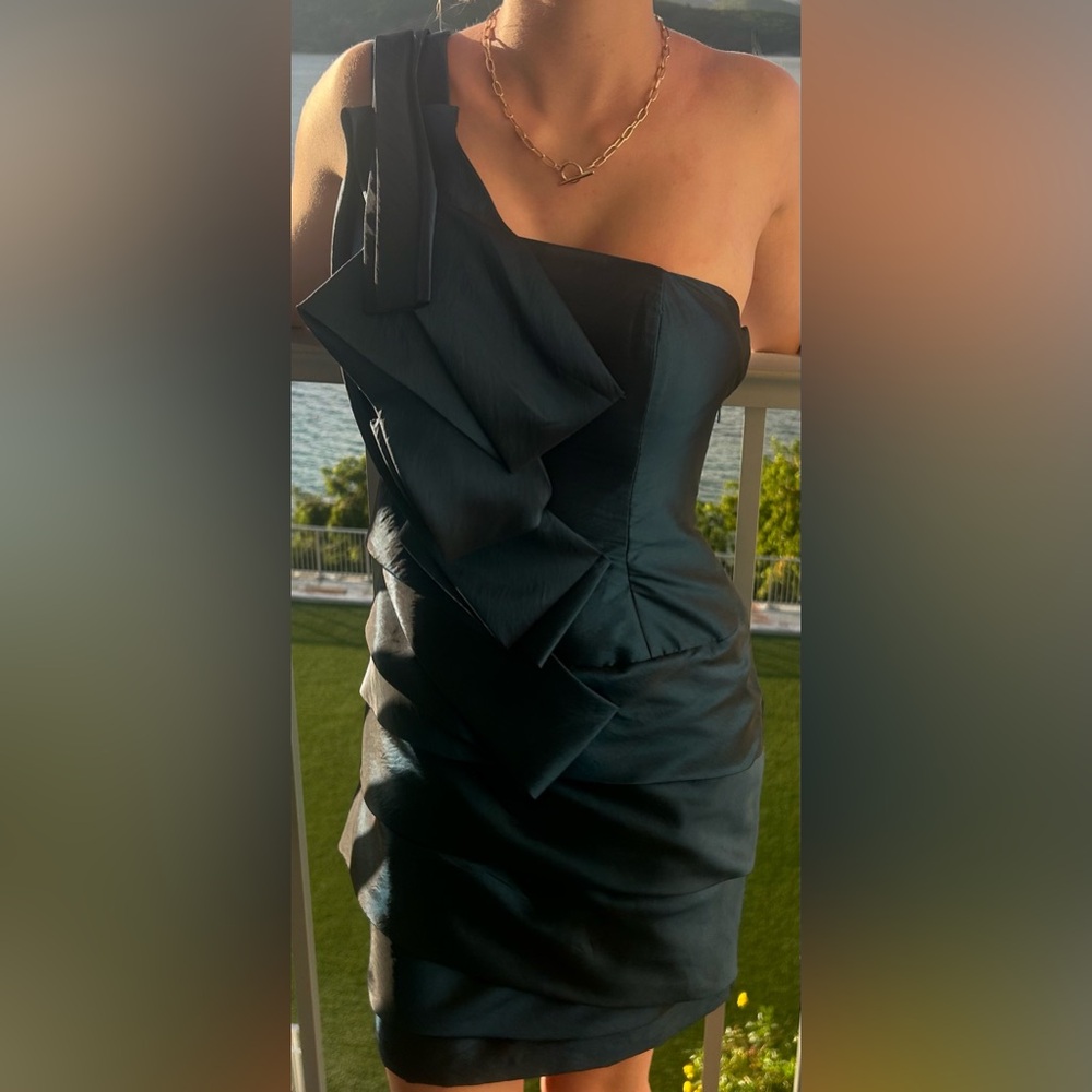 A stunning form fitting dress with an elegant neckline + sultry bold silhouette - Picture 7 of 14